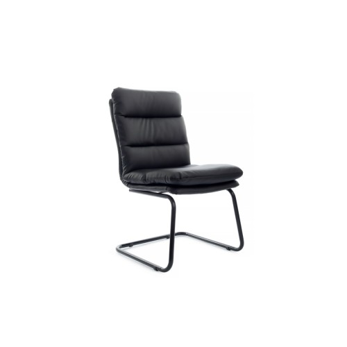 Стул для посетителя Pegas RCH PS-919 | Пегас RCH PS-919 (RV Chair)