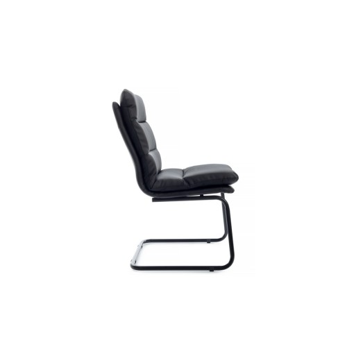 Стул для посетителя Pegas RCH PS-919 | Пегас RCH PS-919 (RV Chair)