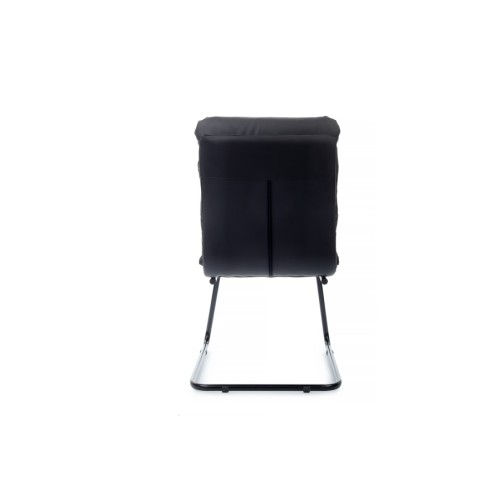Стул для посетителя Pegas RCH PS-919 | Пегас RCH PS-919 (RV Chair)