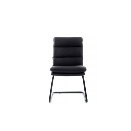 Стул для посетителя Pegas RCH PS-919 | Пегас RCH PS-919 (RV Chair)