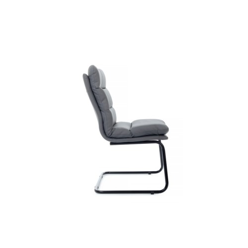 Стул для посетителя Pegas RCH PS-919 | Пегас RCH PS-919 (RV Chair)