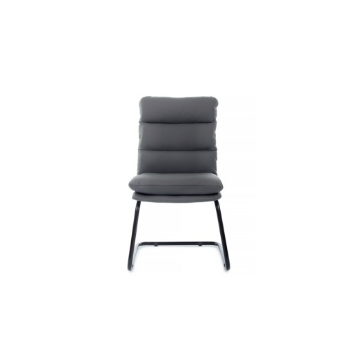 Стул для посетителя Pegas RCH PS-919 | Пегас RCH PS-919 (RV Chair)