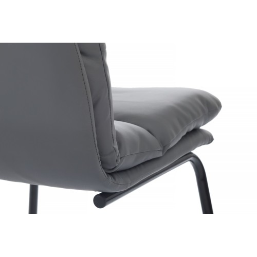Стул для посетителя Pegas RCH PS-919 | Пегас RCH PS-919 (RV Chair)