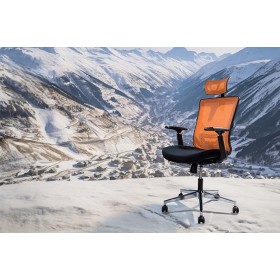 Офисные кресла Riva