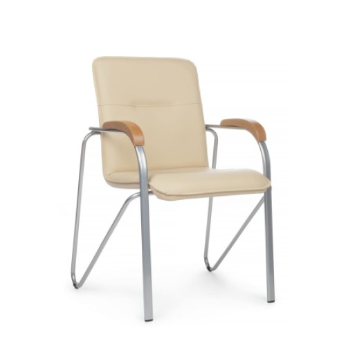 Стул для посетителя Самба с подлокотниками SMB-01-03 (RV Chair)