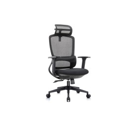 Кресло руководителя Skill RCH 6245A/6245AX-HS | Скилл RCH 6245A/6245AX-HS (RV Chair) - ткань/сетка