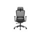 Кресло руководителя Skill RCH 6245A/6245AX-HS | Скилл RCH 6245A/6245AX-HS (RV Chair) - ткань/сетка