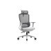 Кресло руководителя Skill RCH 6245A/6245AX-HS | Скилл RCH 6245A/6245AX-HS (RV Chair) - ткань/сетка