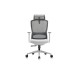 Кресло руководителя Skill RCH 6245A/6245AX-HS | Скилл RCH 6245A/6245AX-HS (RV Chair) - ткань/сетка