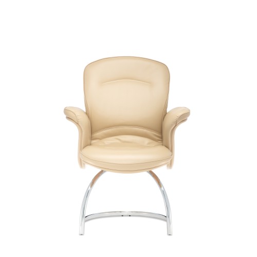 Стул для посетителя Виктория D40 (полозья)