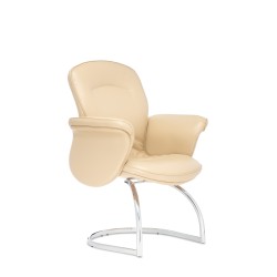 Стул для посетителя Виктория D40 (полозья)