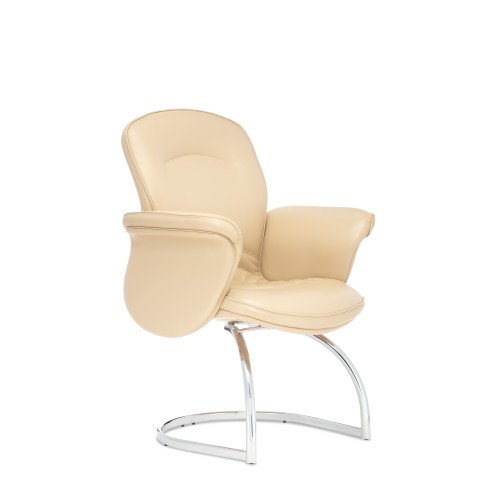 Стул для посетителя Виктория D40 (полозья)