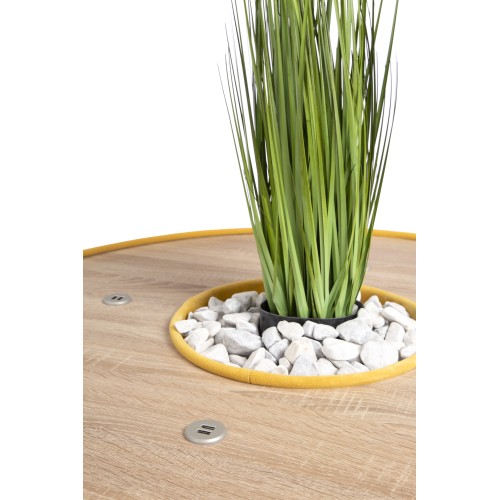 Тумба круглая высокая, с отверстием посередине, 4хUSB розетки Avenue 6.5 Wood